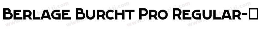 Berlage Burcht Pro Regular字体转换
